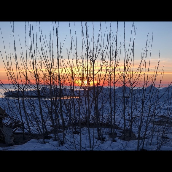 Meet your Posher, Rosanna - Picture 1 of 1